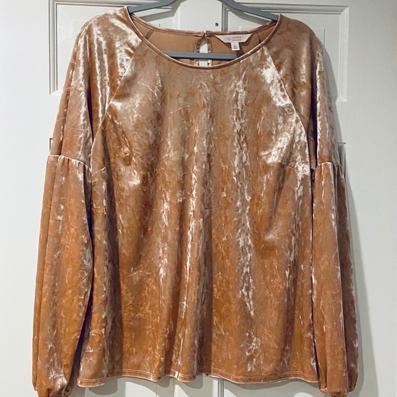 Lauren Conrad Long Sleeve Crushed Velvet Top – Champagne, Size L - Picture 1 of 11
